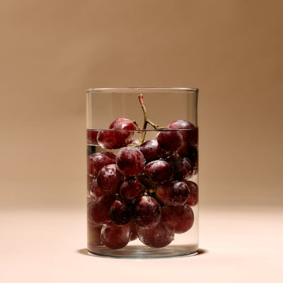 The VEGEA process: from grape waste to wine bag